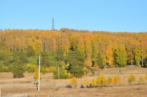 Фотоконкурс «Осенняя пора, очей очарованье!»