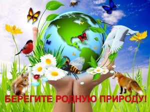 Экологическая программа«Давайте будем беречь природу»