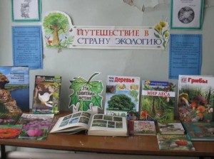 Интеллектуальная игра « В мире экологии»