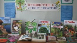 Интеллектуальная игра « В мире экологии»