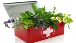 Летняя аптечка «Полезные травы июля»