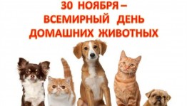 Урок доброты «Мой самый верный друг»