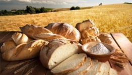 Прямая трансляция «Хлеб–всему голова».