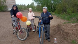Познавательная викторина«Дорожный знак обязан знать каждый »