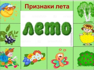 Инфочас «Летние приметы»