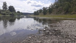 Субботник «Чистый берег»