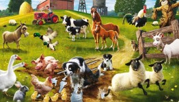 Шанс–викторина «Теленок – чей ребенок?»