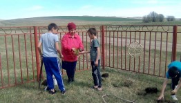 Экологический час «На лесных тропинках»