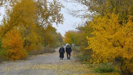 Просмотр «Золотая осень жизни»
