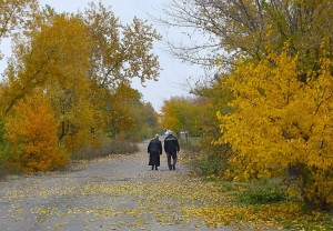 Просмотр «Золотая осень жизни»