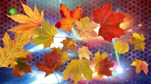 Тематическая дискотека«Осенний листопад»