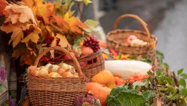 Выставка«Дары осени»