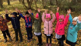 Экскурсия «Осенний лес»