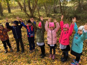 Экскурсия «Осенний лес»