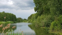 Чистый родник