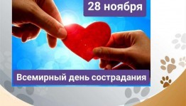 Инфочас «Всемирный день милосердия»