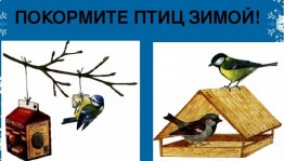 Акция «Накормите птиц зимой»