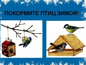 Акция «Накормите птиц зимой»