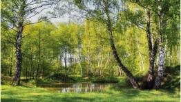 «будь другом всему живому»