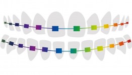 День ортодонта