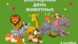 Квиз «По законам джунглей»