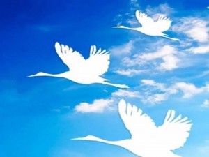 «Поклонитесь белым журавлям»