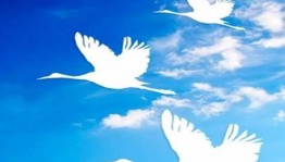 «Поклонитесь белым журавлям»