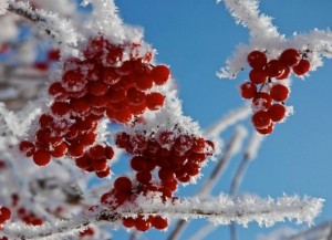 Выставка творческих работ «Зимние красоты»