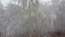 Экскурсия «Ой-ты, зимушка краса!»