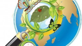 Игра–викторина«Знатоки леса»