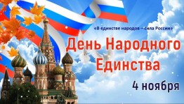 «В единстве народов – сила России»
