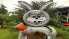 Творческая мастерская «Папа в объективе».