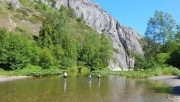 Экологический час «Войди в природу другом...»