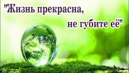 Лекция «Жизнь прекрасна - не губи её»