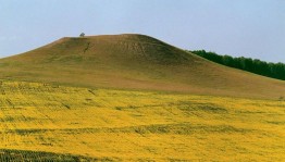 Квест-игра«Путешествие по родному краю»