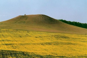 Квест-игра«Путешествие по родному краю»