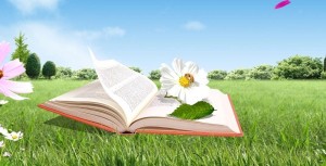 «Летнее чтение-это приключение. День сказок»