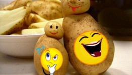 Праздник картошки«Ох,картошка!»