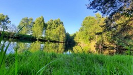 Библиотечный урок «Я с книгой открываю мир природы»