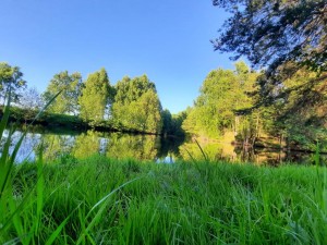 Библиотечный урок «Я с книгой открываю мир природы»