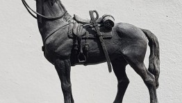 «Благородное стремление»