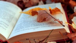 Игровая программа «По секрету всему свету»