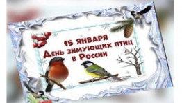 Викторина «День зимующих птиц».