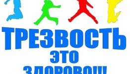 Тематическая программа «Мы за трезвость»