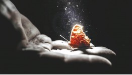 Видеолекторий «Осколки разбитой юности»