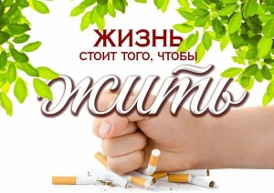 Познавательная программа «В поисках страны здоровья»