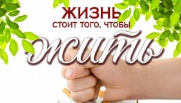 Познавательная программа «В поисках страны здоровья»