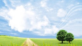 Тайны ночи открываются искусством