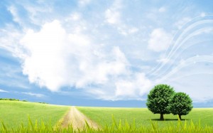 Тайны ночи открываются искусством