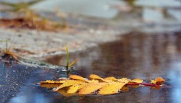 Мозговой шторм «У природы нет плохой погоды»